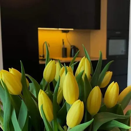 Apartment Garden Free Parking Place *
